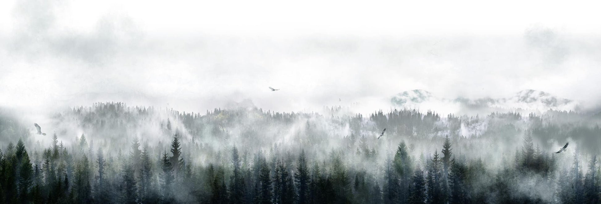 carta da parati montagne eagles storm