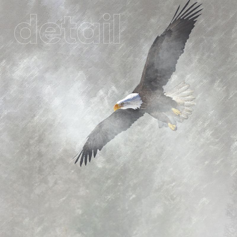 carta da parati montagne eagles wings