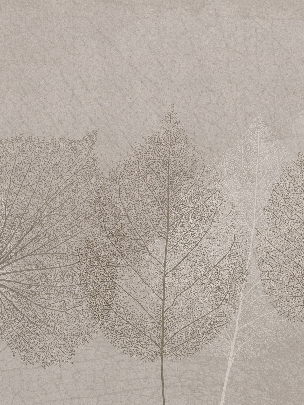 Nativa Fondo