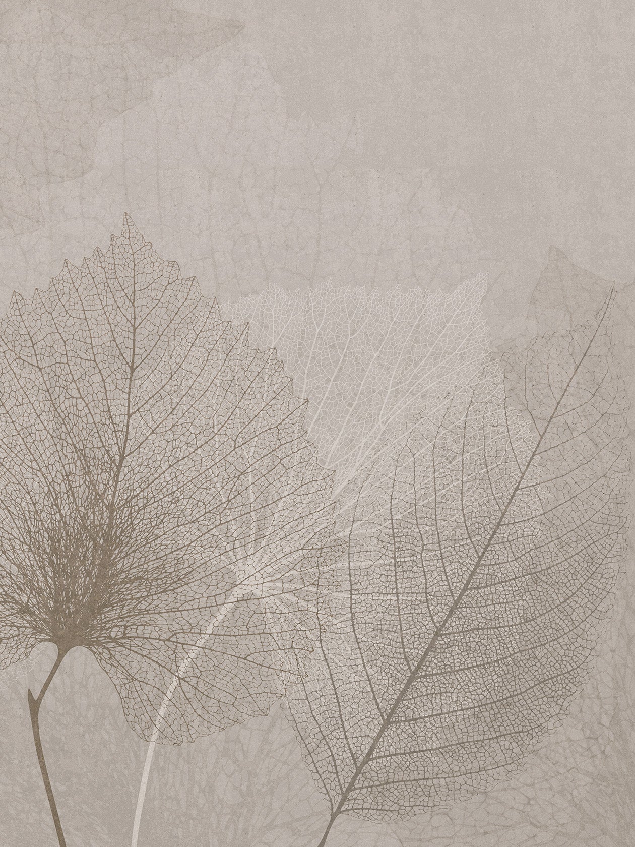 Nativa Fondo