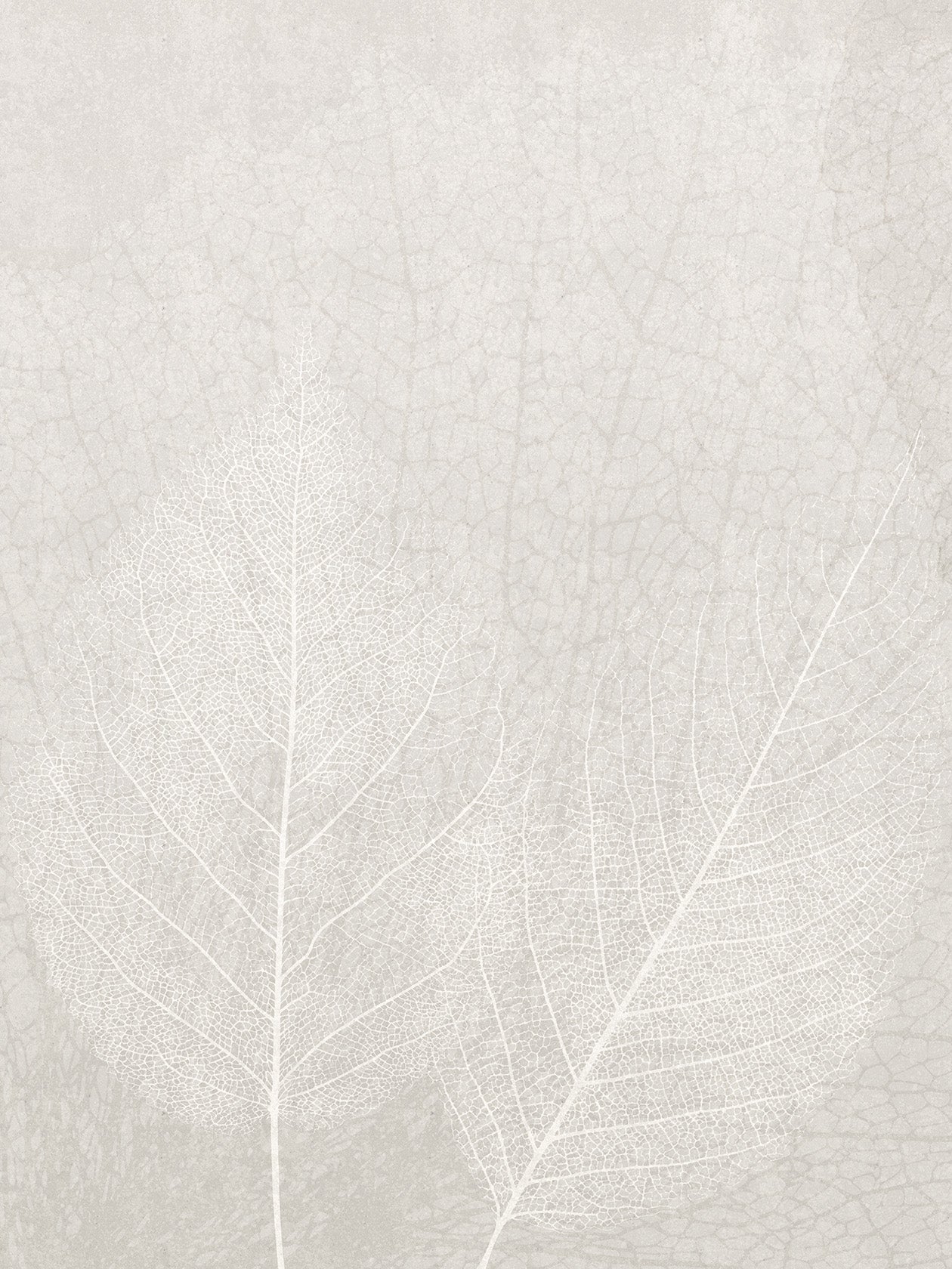 Foglia tono su tono, carta da parati ​Nativa Luce in stile naturale, colori tenui - Ambientha