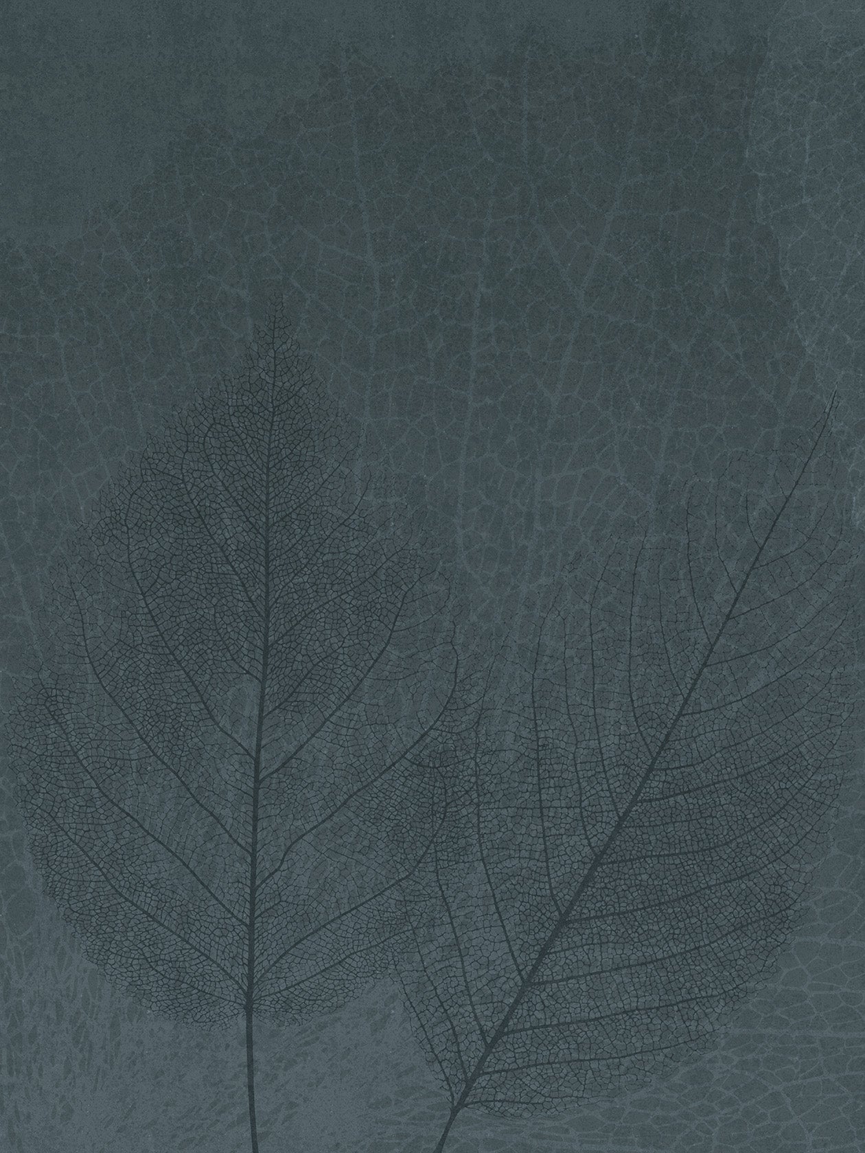 Foglie chiare e scure, carta da parati ​Nativa Trama in stile natura - Ambientha
