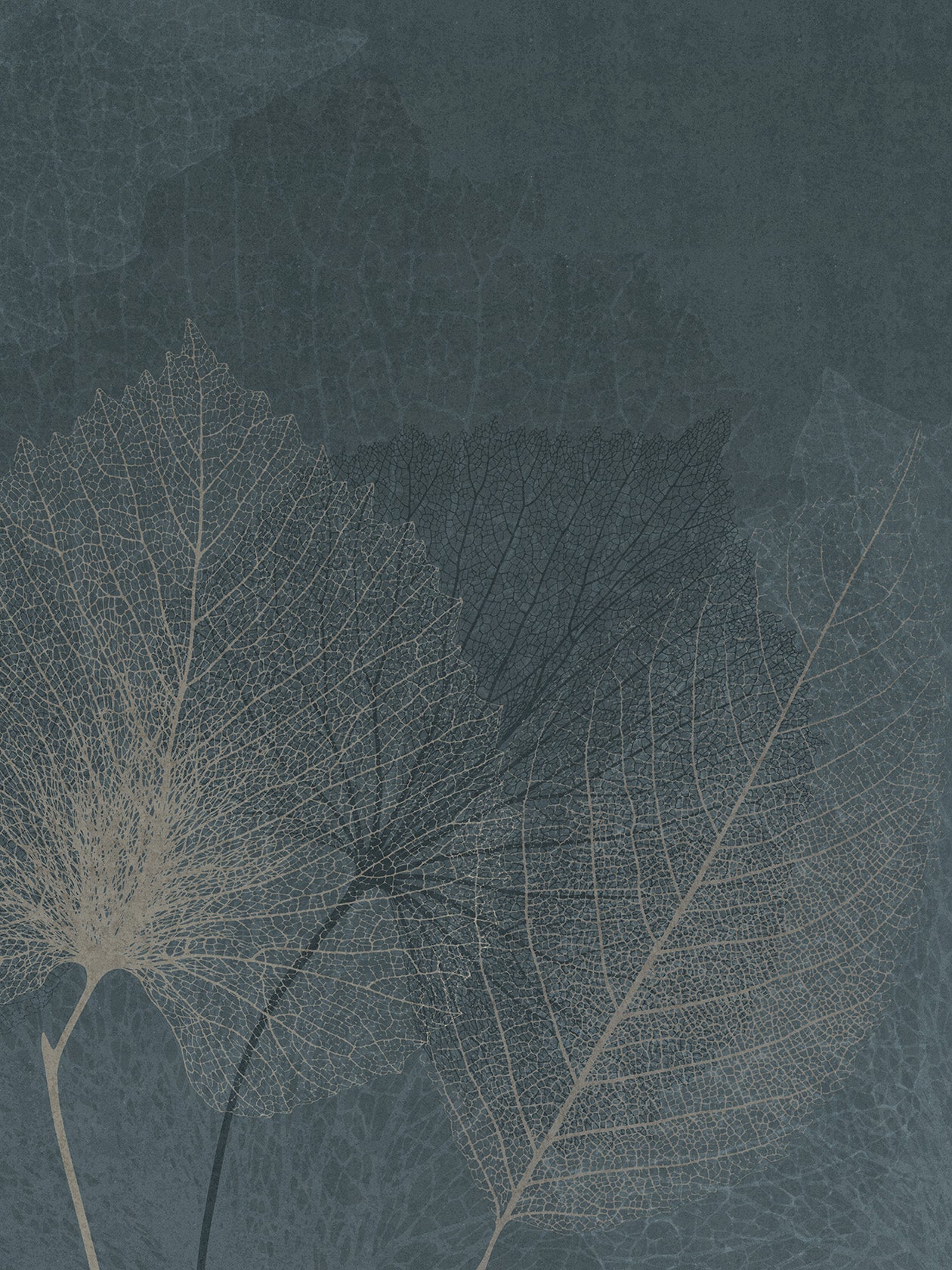 Fogli e texture, carta da parati ​Nativa Trama in stile natura - Ambientha