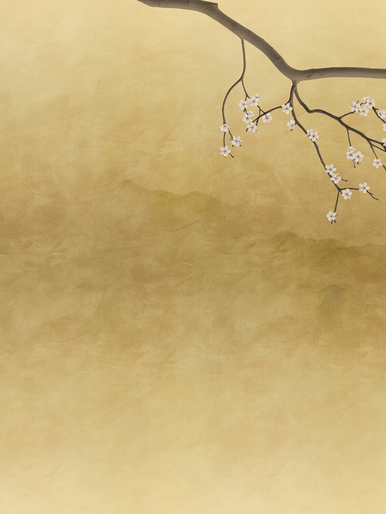 Sakura Kin