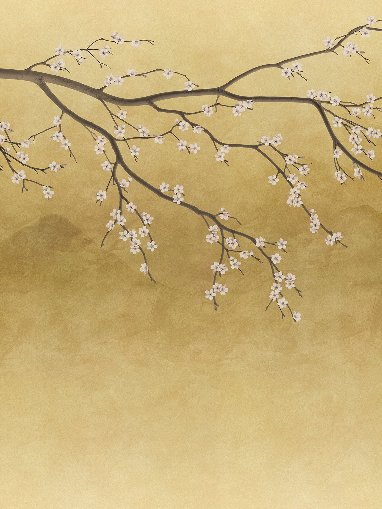 Sakura Kin