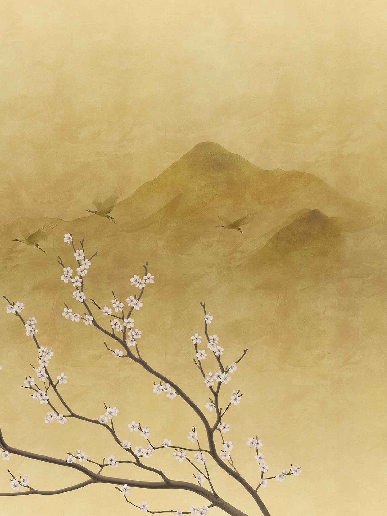Sakura Kin