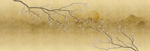 Sakura Kin