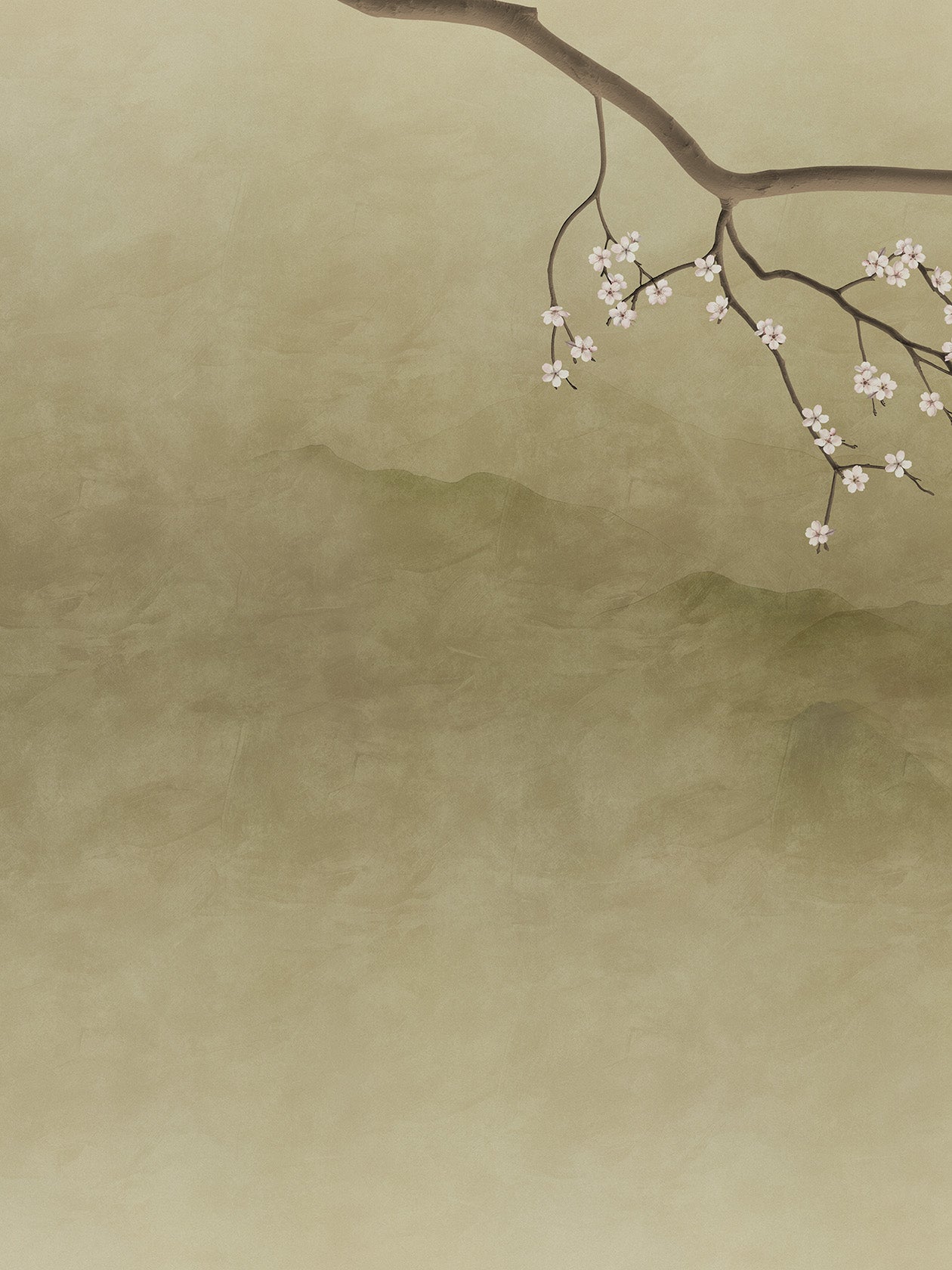 Sakura Midori
