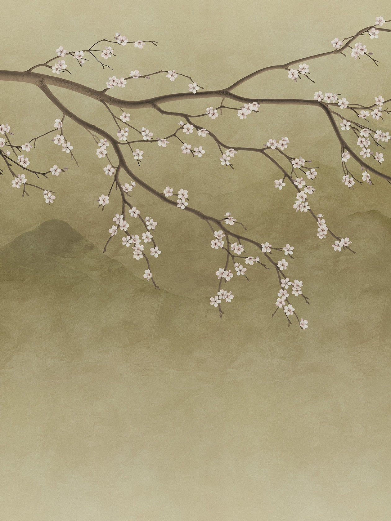 Sakura Midori