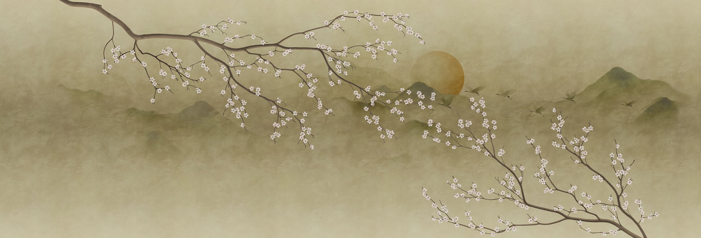Sakura Midori