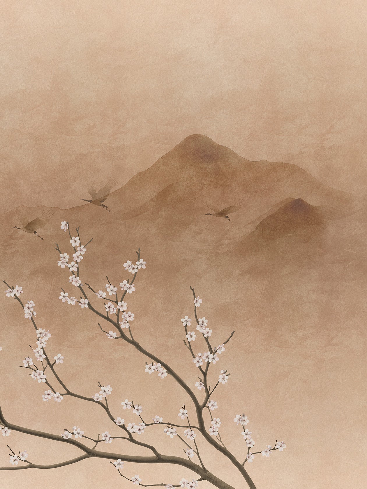 Sakura Yuhi