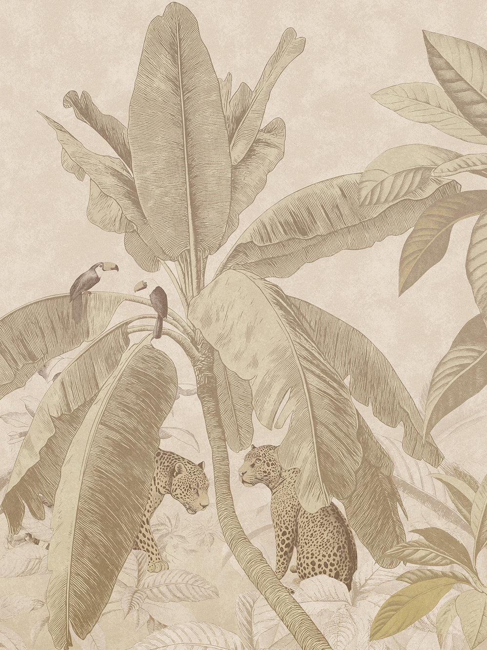 Yaguara Cacao