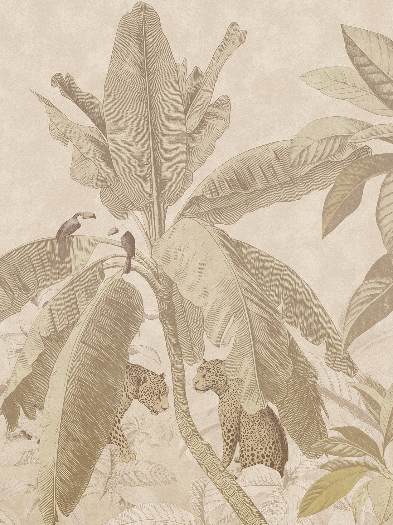 Yaguara Cacao