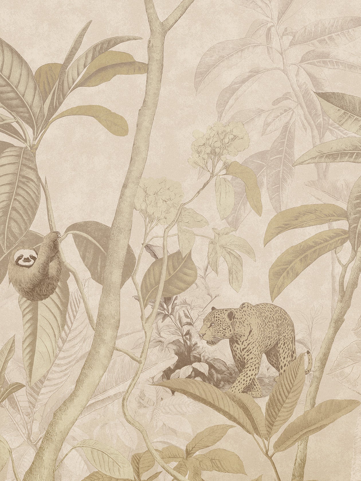 Yaguara Cacao