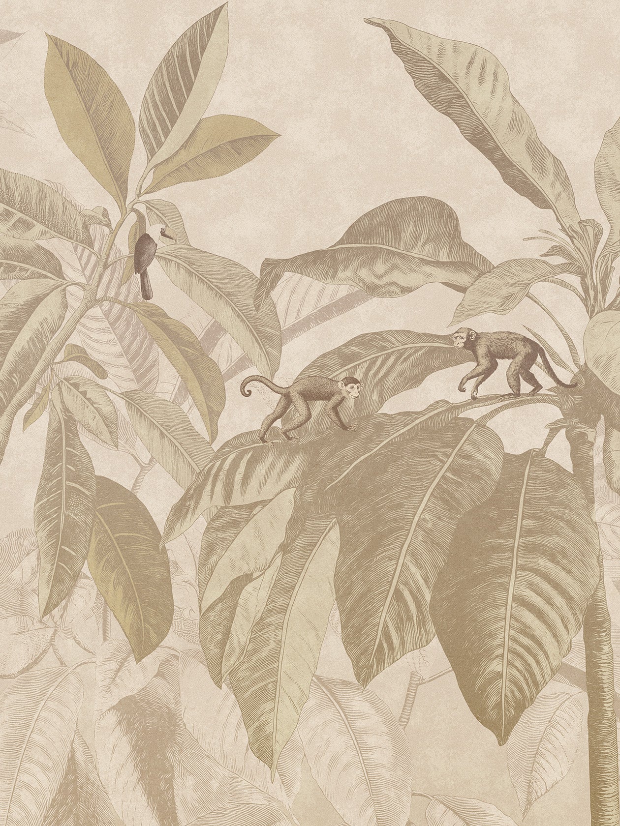 Yaguara Cacao