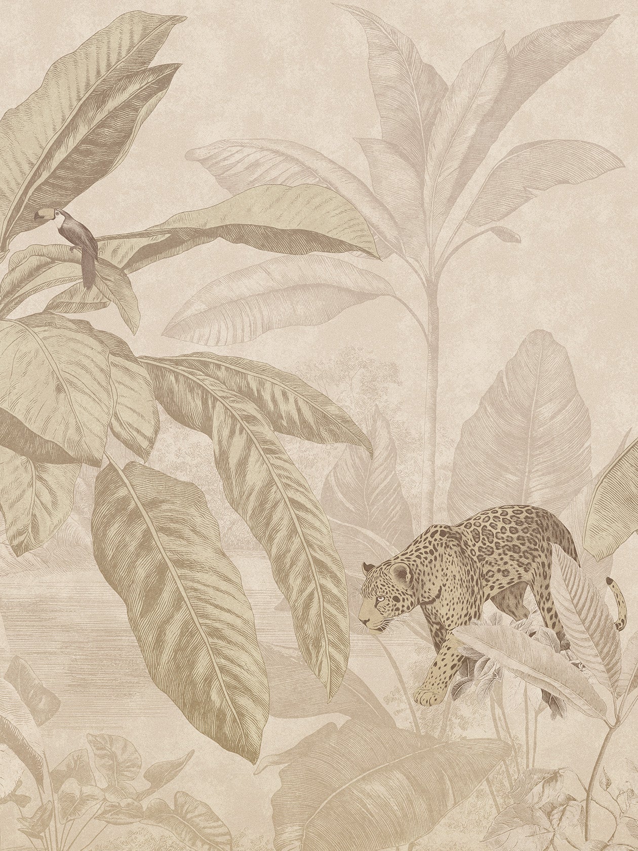 Yaguara Cacao