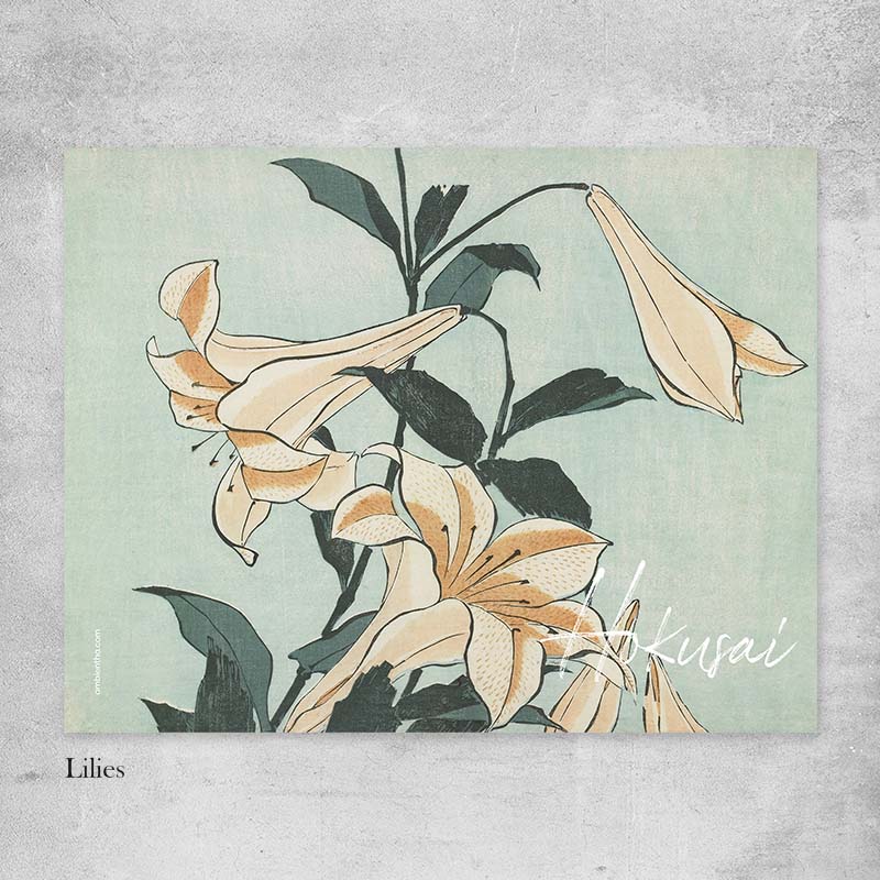 Lilies