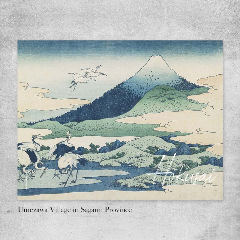 stampe giapponesi hokusai