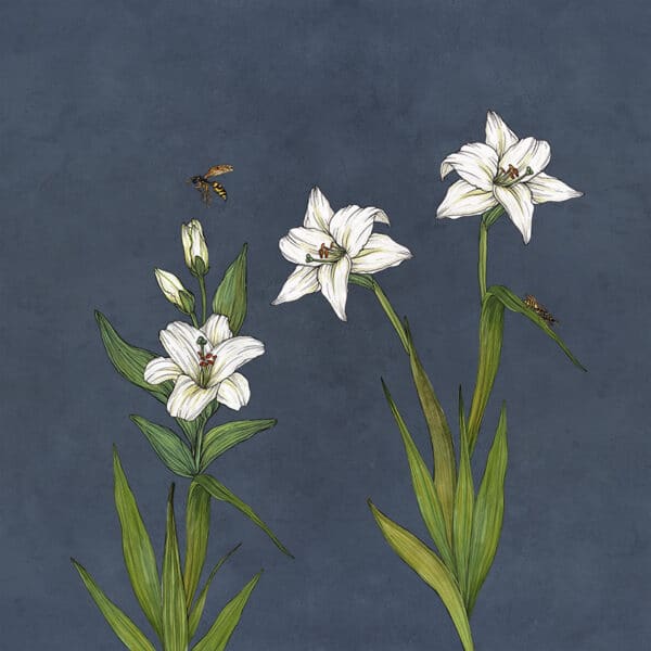 fiori grandi wallpaper flying lily