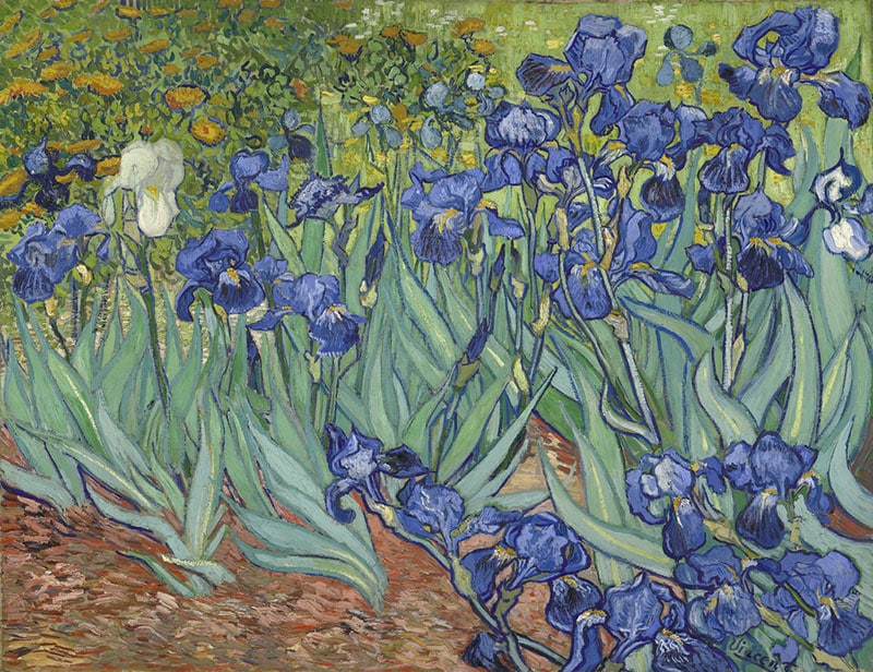 Vincent van Gogh quadri  Riproduzione di opere famose